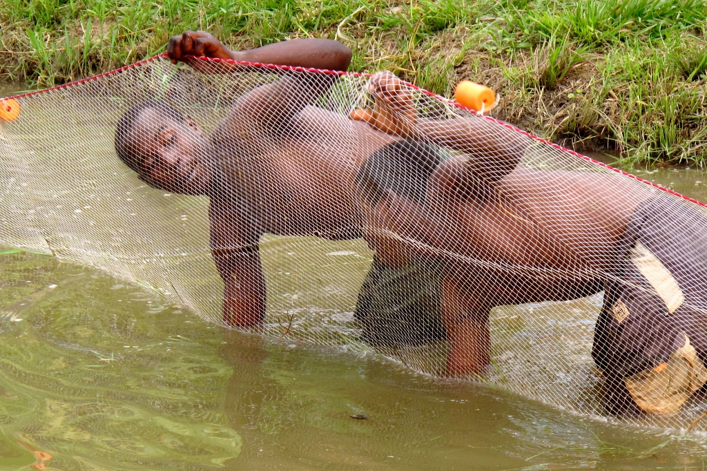 Wading for fish to eat and sell at market, Malawi