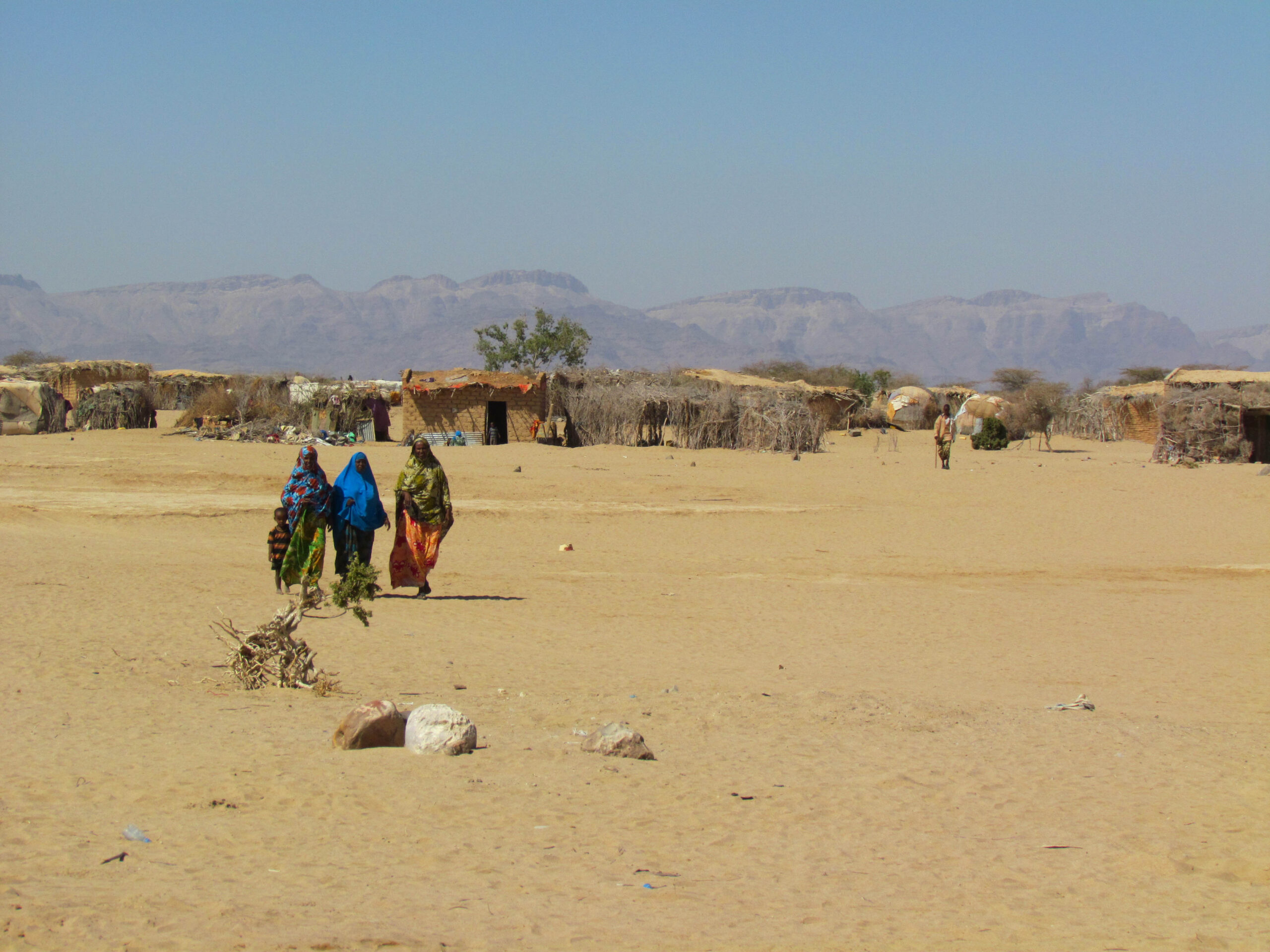 Droughts, displacement and diet in Somaliland