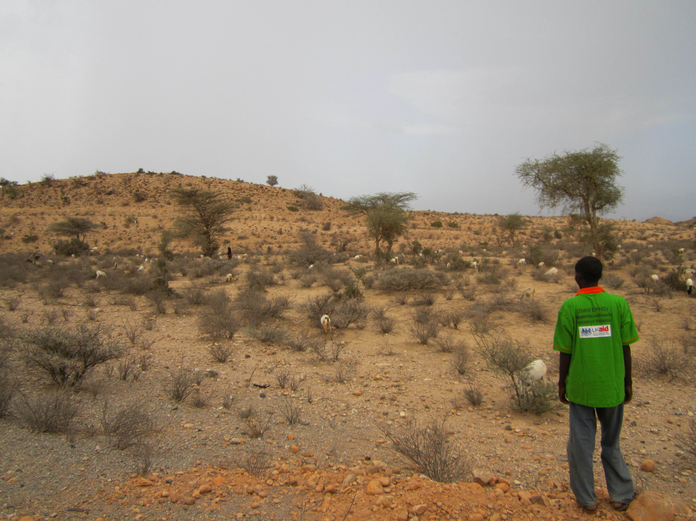 Planetary Health Appeal